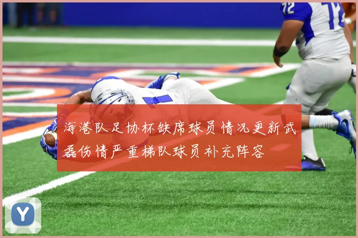 海港队足协杯缺席球员情况更新武磊伤情严重梯队球员补充阵容